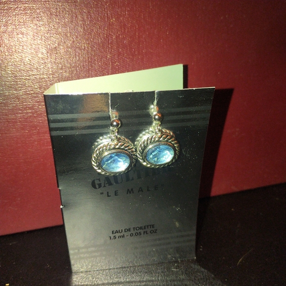 Oval blue earrings - Picture 1 of 3